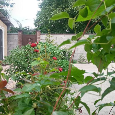 Комфортный Дом До 4Х Человек. Есть Парковка На 2 Машины, Wi-Fi, Tv. Bişkek Dış mekan fotoğraf