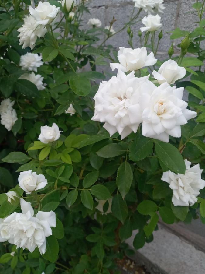 Комфортный Дом До 4Х Человек. Есть Парковка На 2 Машины, Wi-Fi, Tv. Bişkek Dış mekan fotoğraf